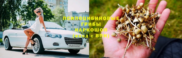 тгк Балахна