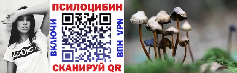 маркетплейс официальный сайт  где можно купить   Унеча  Галлюциногенные грибы мицелий  mega tor 